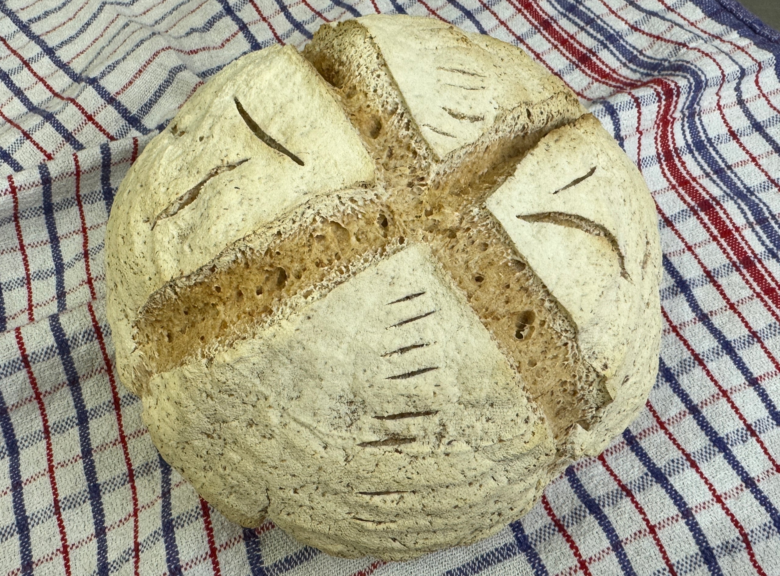 Gluten free sourdough cob loaf Just GF Wholesale gluten free microbakery
